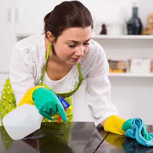 Shrestha Cleaning Service