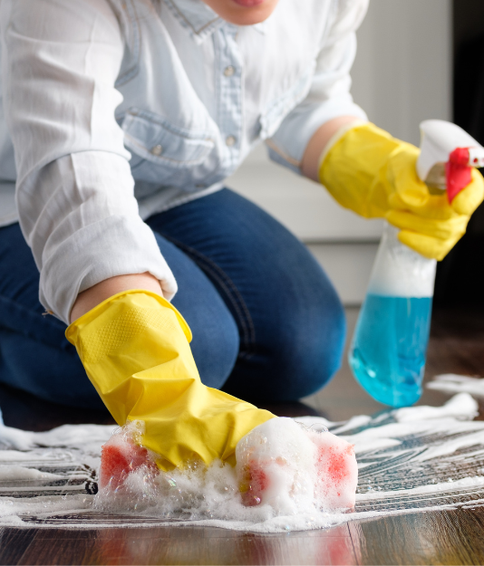 <Shrestha Cleaning Service