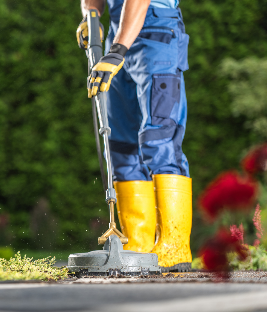 <Shrestha Cleaning Service