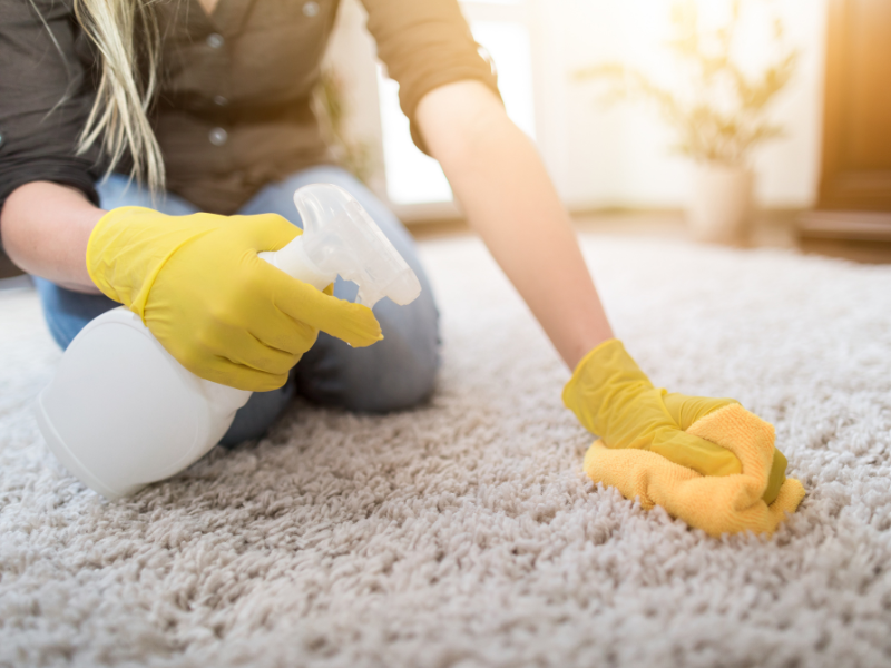 Shrestha Cleaning Service