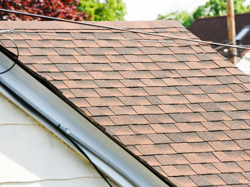 Shrestha Cleaning Service