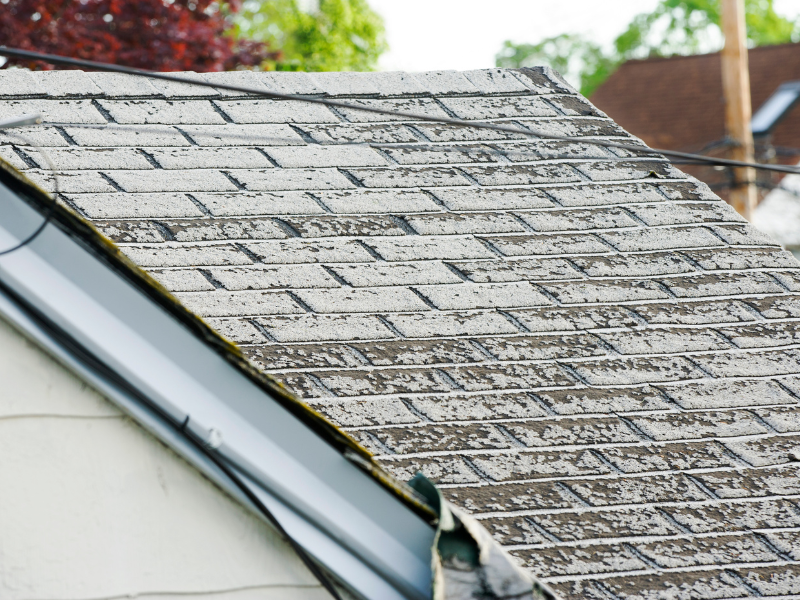 Shrestha Cleaning Service