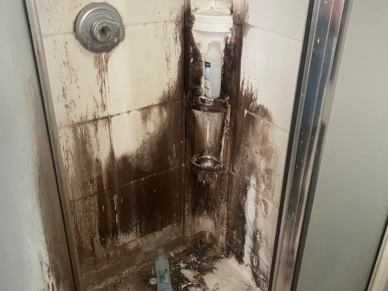 Shrestha Cleaning Service