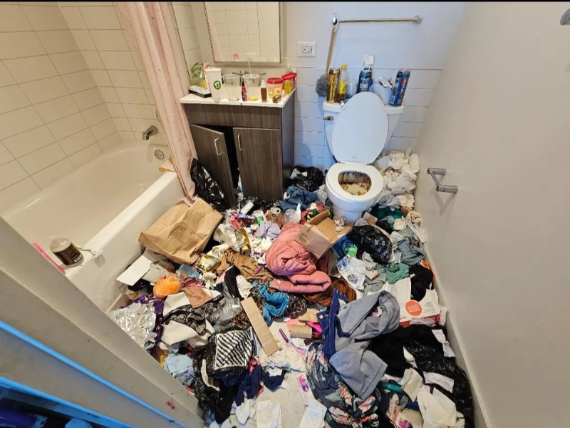 Shrestha Cleaning Service