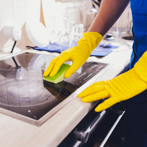 Shrestha Cleaning Service