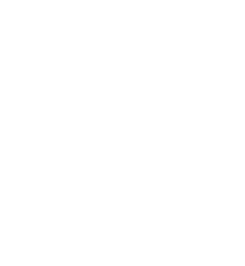SS Cleaning Service logo